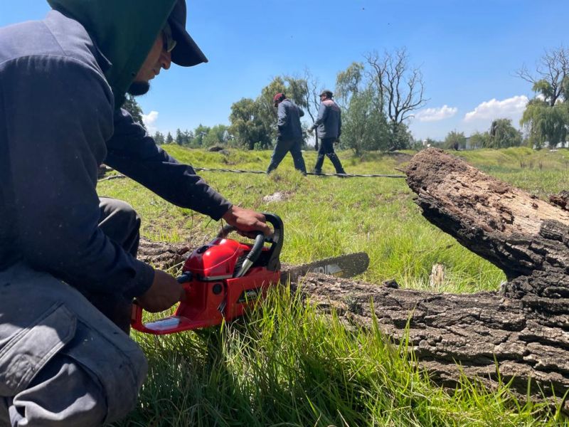 FUERTES LLUVIAS PROVOCAN CAIDA DE ARBOL EN VILLA MARIA