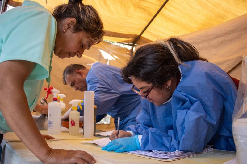 Continúa la Jornada de Esterilización Canina y Felina en Visitación