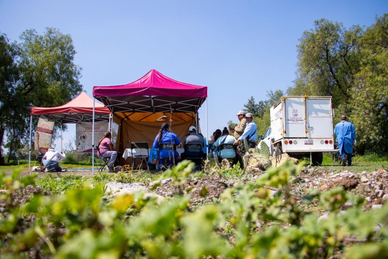 Continúa la Jornada de Esterilización Canina y Felina en Tenopalco