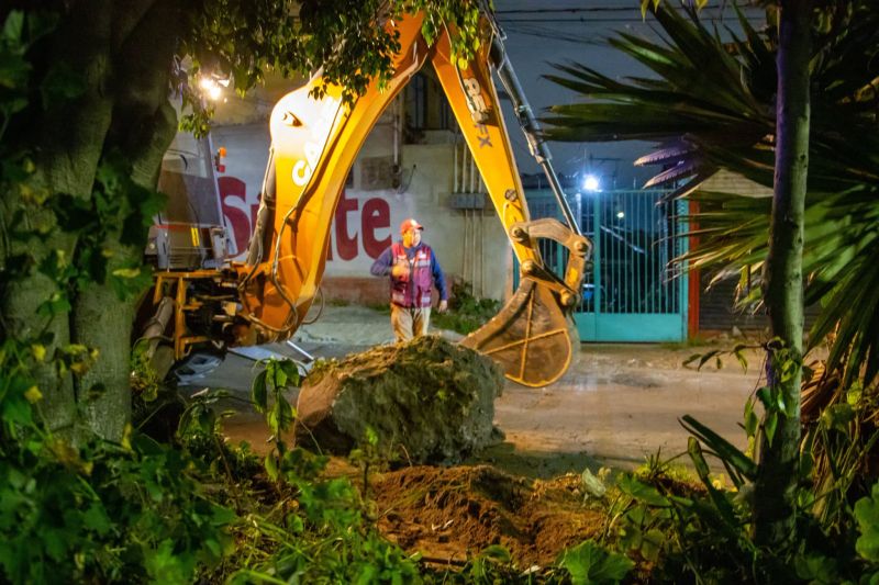 Seguimos trabajando en el camellón, porque transformar nuestros espacios