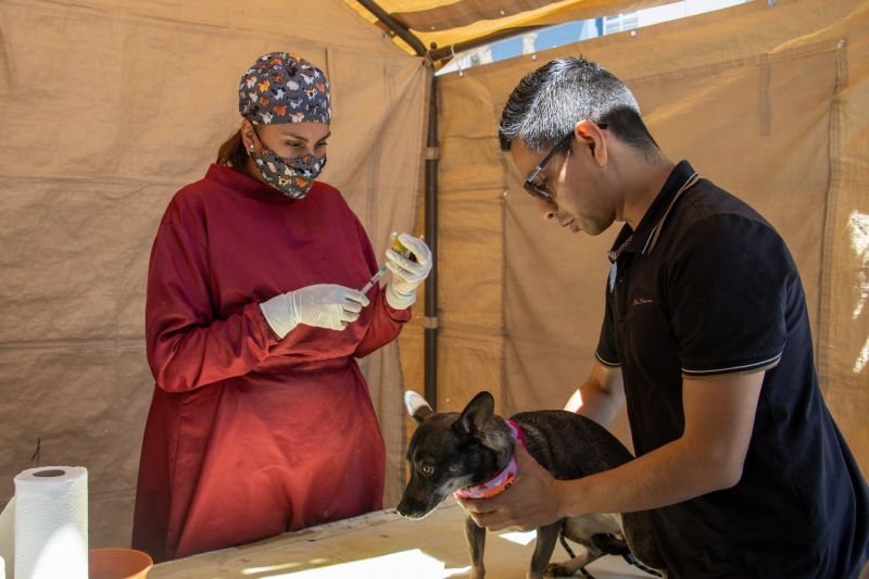 Jornada de Esterilización en Villas del Fresno